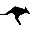 Roo Code